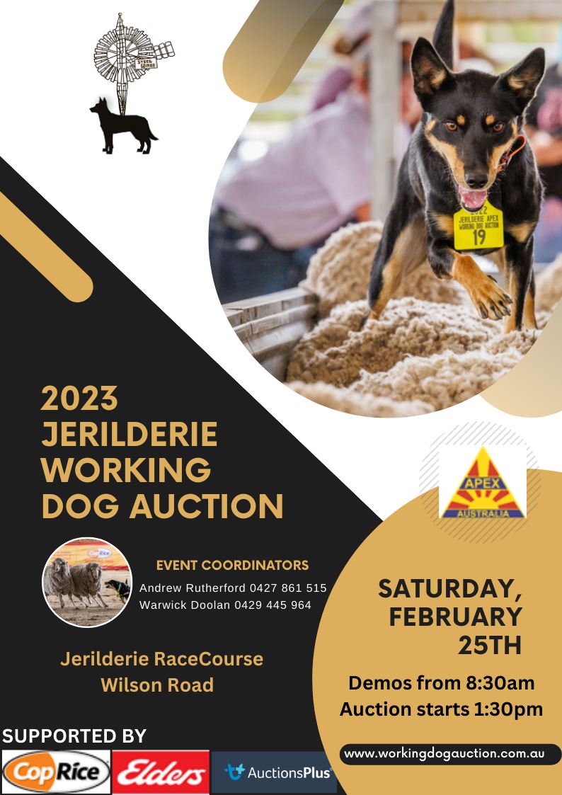 Jerilderie Working Dog Auction