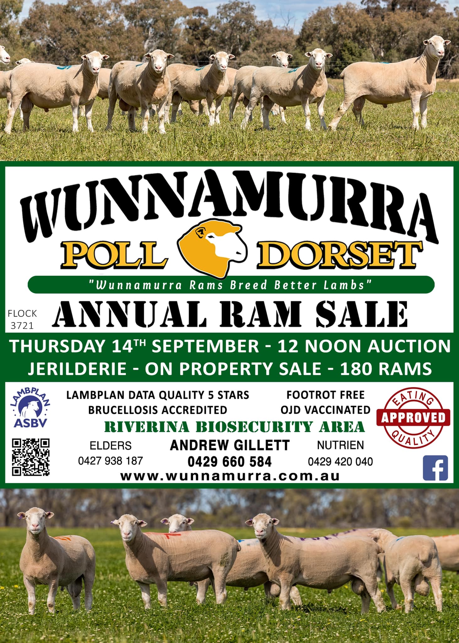 Wunnamurra - Ram Sale